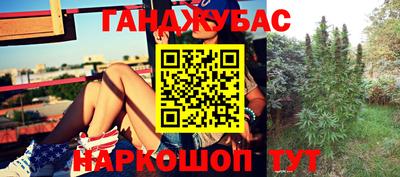 jwh Будённовск