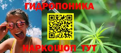 jwh Будённовск