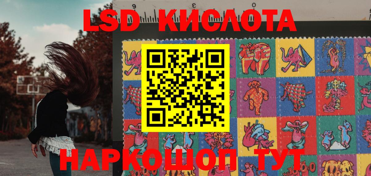 Наркотические марки  закладка  Прохладный  Вход с VPN  Наркотические марки 1,5мг  Наркотические марки 1,5мг 