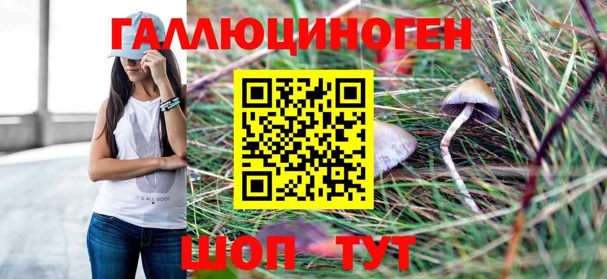 Прохладный  Галлюциногенные грибы GOLDEN TEACHER  Вход с VPN  Галлюциногенные грибы мицелий 