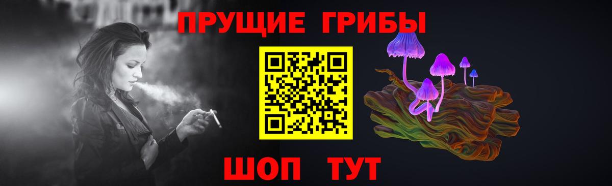 Псилоцибиновые грибы GOLDEN TEACHER Прохладный